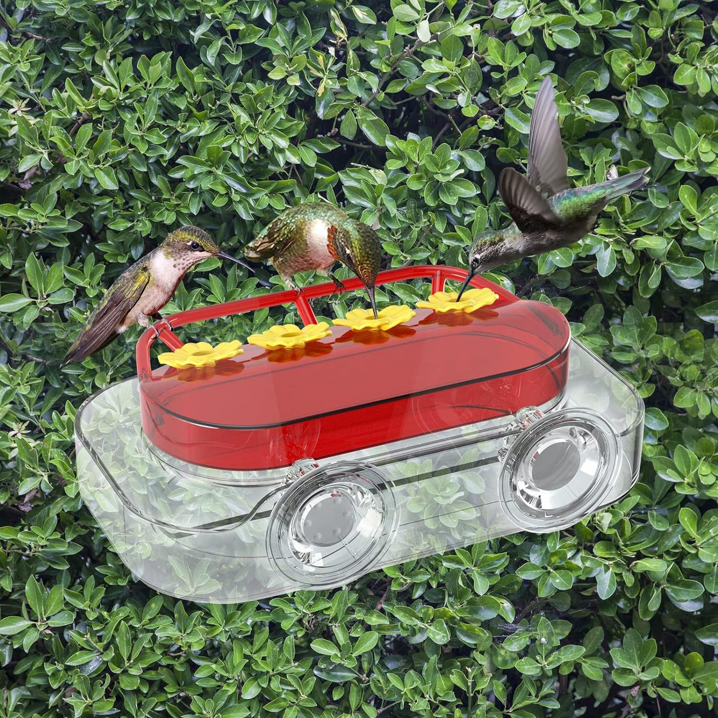 2 Pack Window Hummingbird Feeder, Strong Suction Cup Hummingbird Feeder with 4 Feeding Ports, Easy to Clean and Refill Plastic Humming Bird Feeder, 10oz