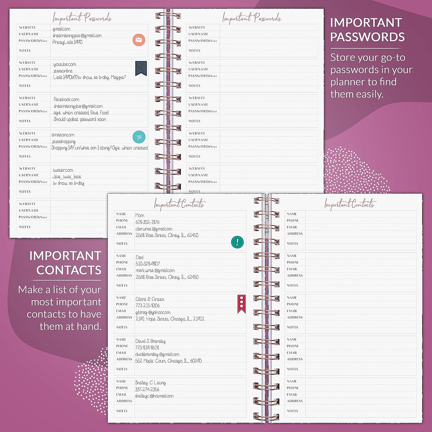 Weekly Planner – Undated Life Organizer & Budget Planner – Time Management, Goal Setting, To-Do List, Work-Life Balance & Habit Tracker – 6.1″ x 8.1″